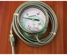 Đồng hồ đo nhiệt độ dạng dây (nhiệt kế dạng dây)